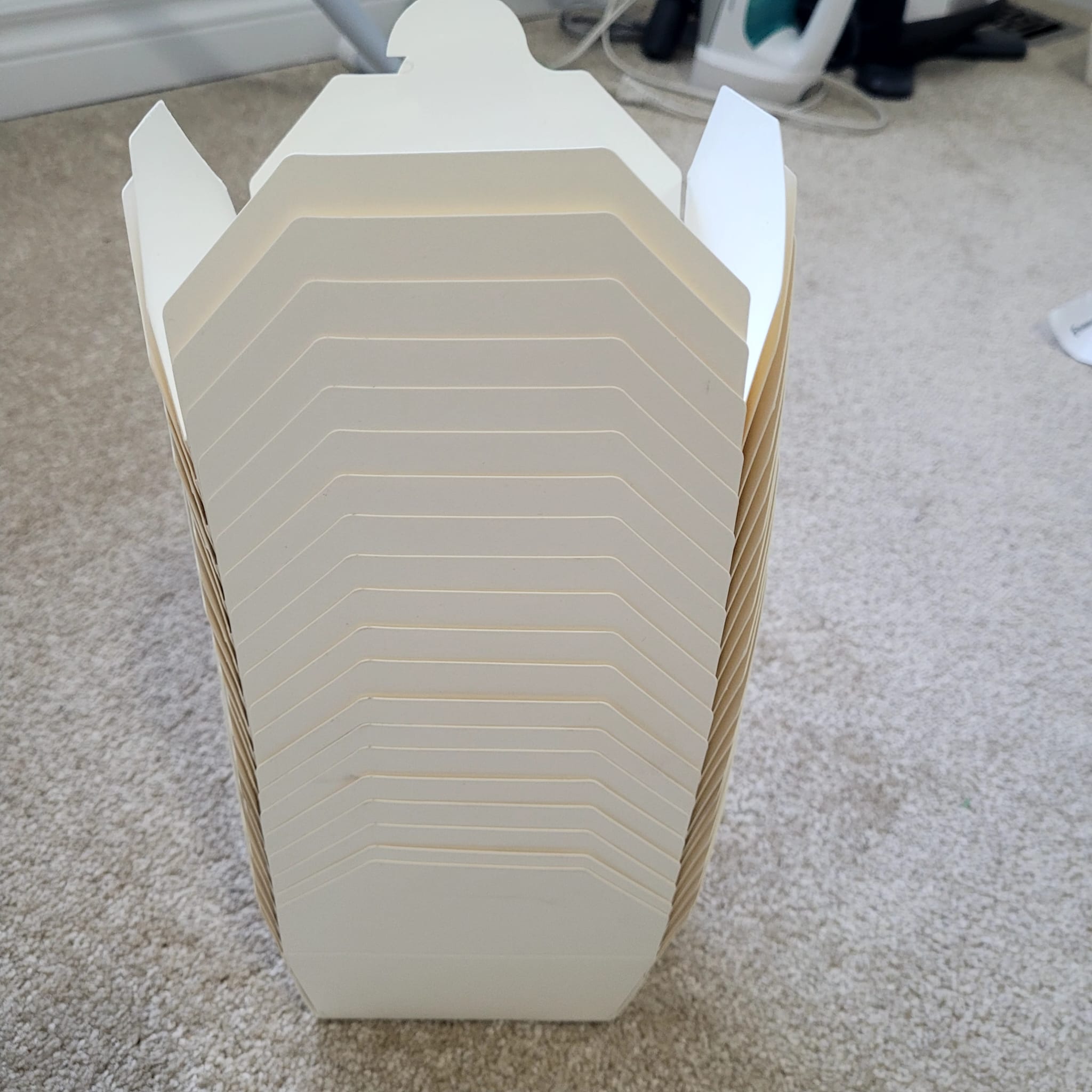 Open takeout lunch box